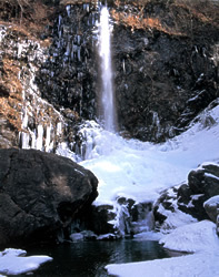 雪化粧の中の黒滝