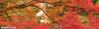 請ノ谷の渓谷の紅葉の写真