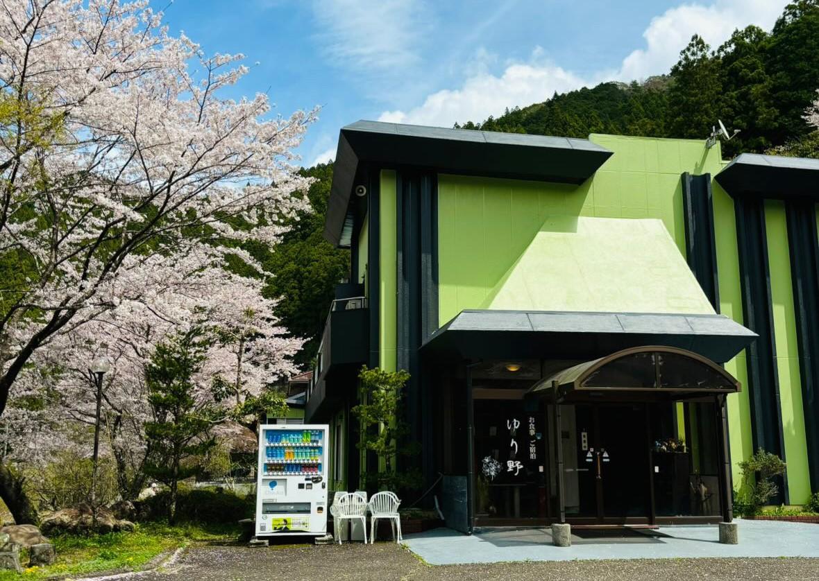 山の中の桜に囲まれた薄い緑色の外観の建物