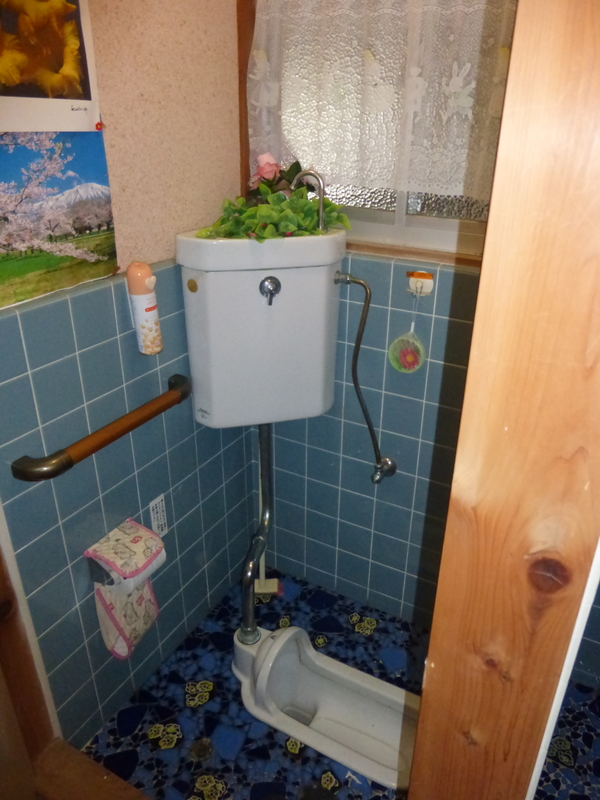 水色のタイルの壁に手すりが設置された和式トイレの写真