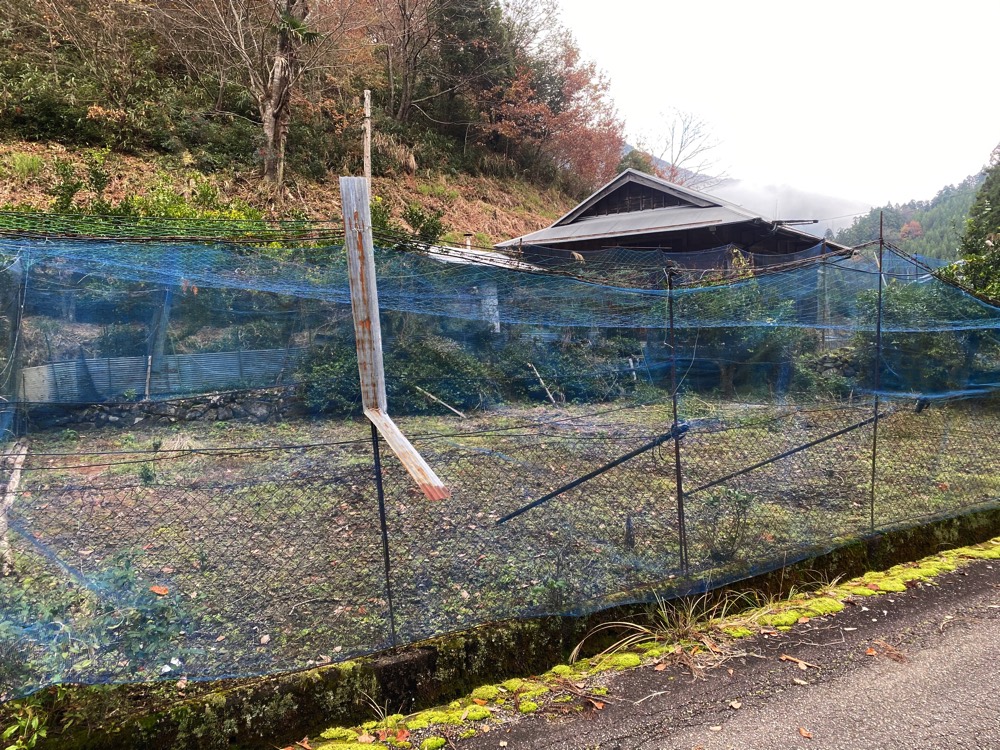 物件横にある畑の写真