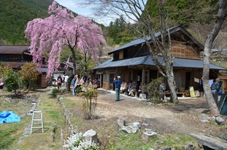 後方には山並みが見え、桃色の花が満開に咲く桜の木があり、自然豊かな場所に立つゲストハウス杉の子の外観写真
