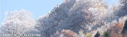 岩倉の雪化粧の山の写真。撮影者：亀代津多栄