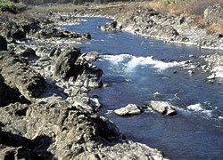 那賀川の渓流の写真