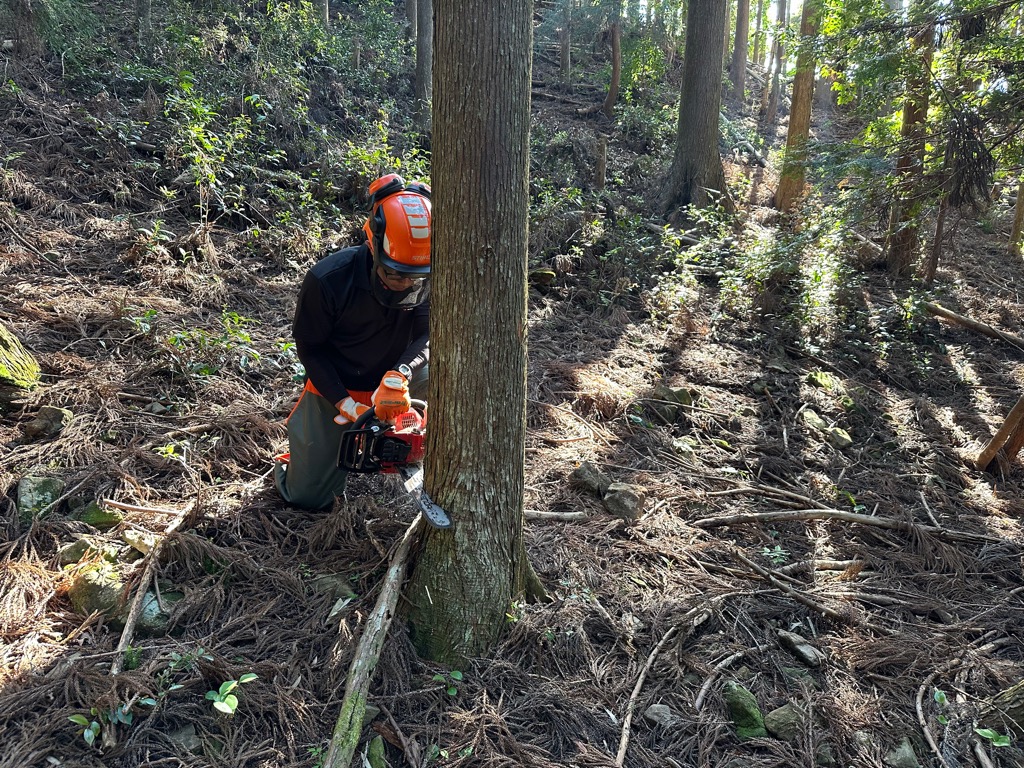 テクノスクールでの講習の写真（伐木）