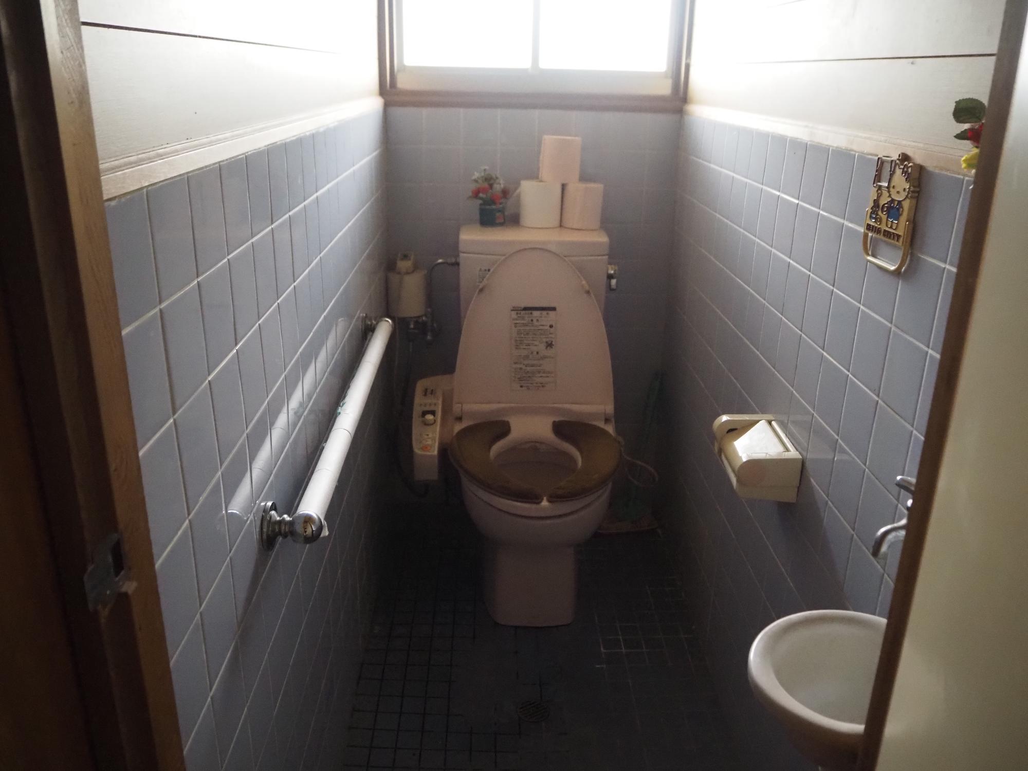 ブルーのタイルに手摺りが付いているピンクの便座のトイレ