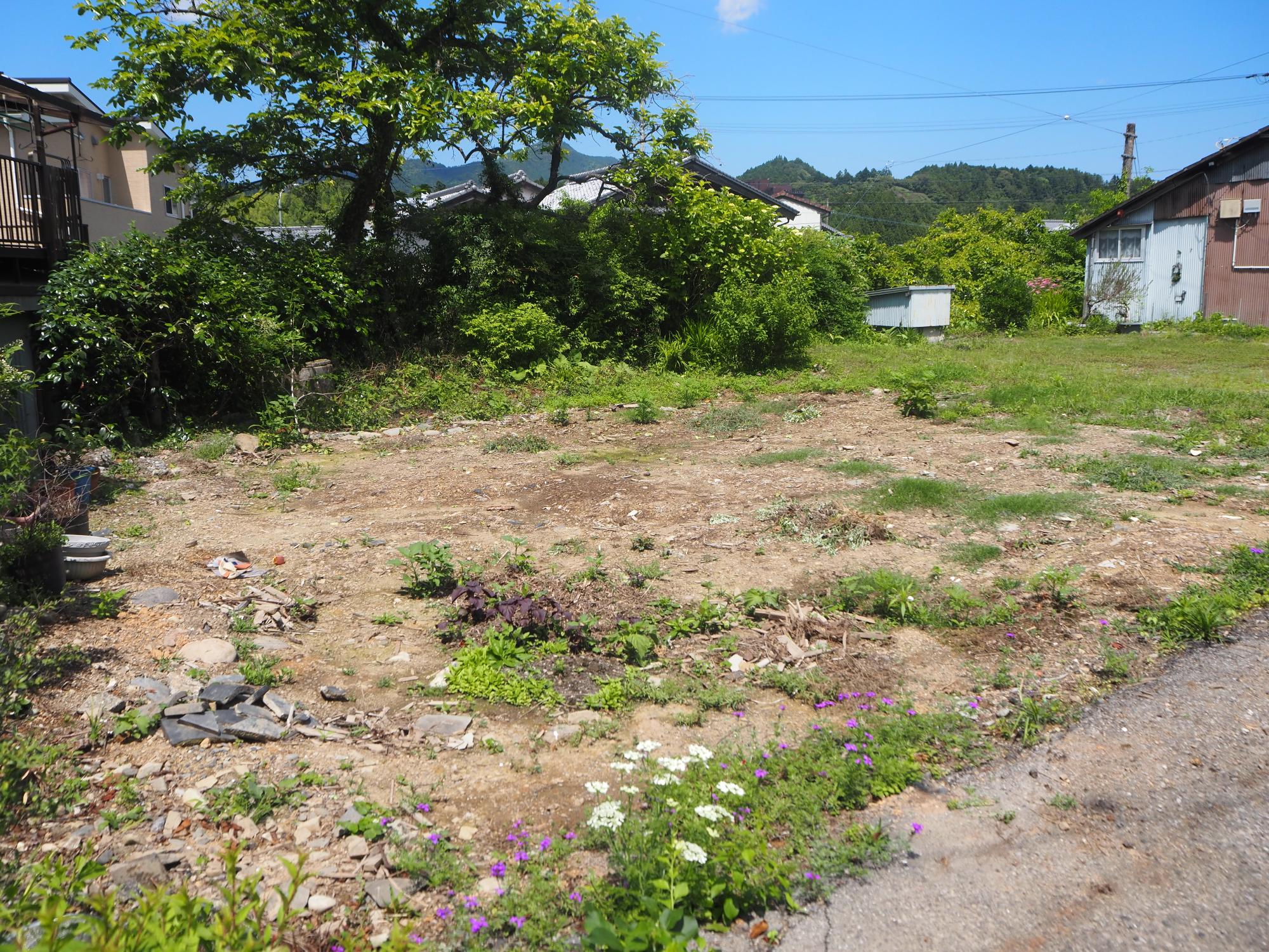 1－52土地の全体写真