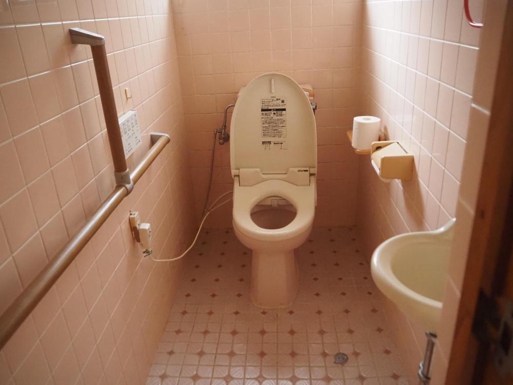 ピンクを基調とした洋式トイレの写真