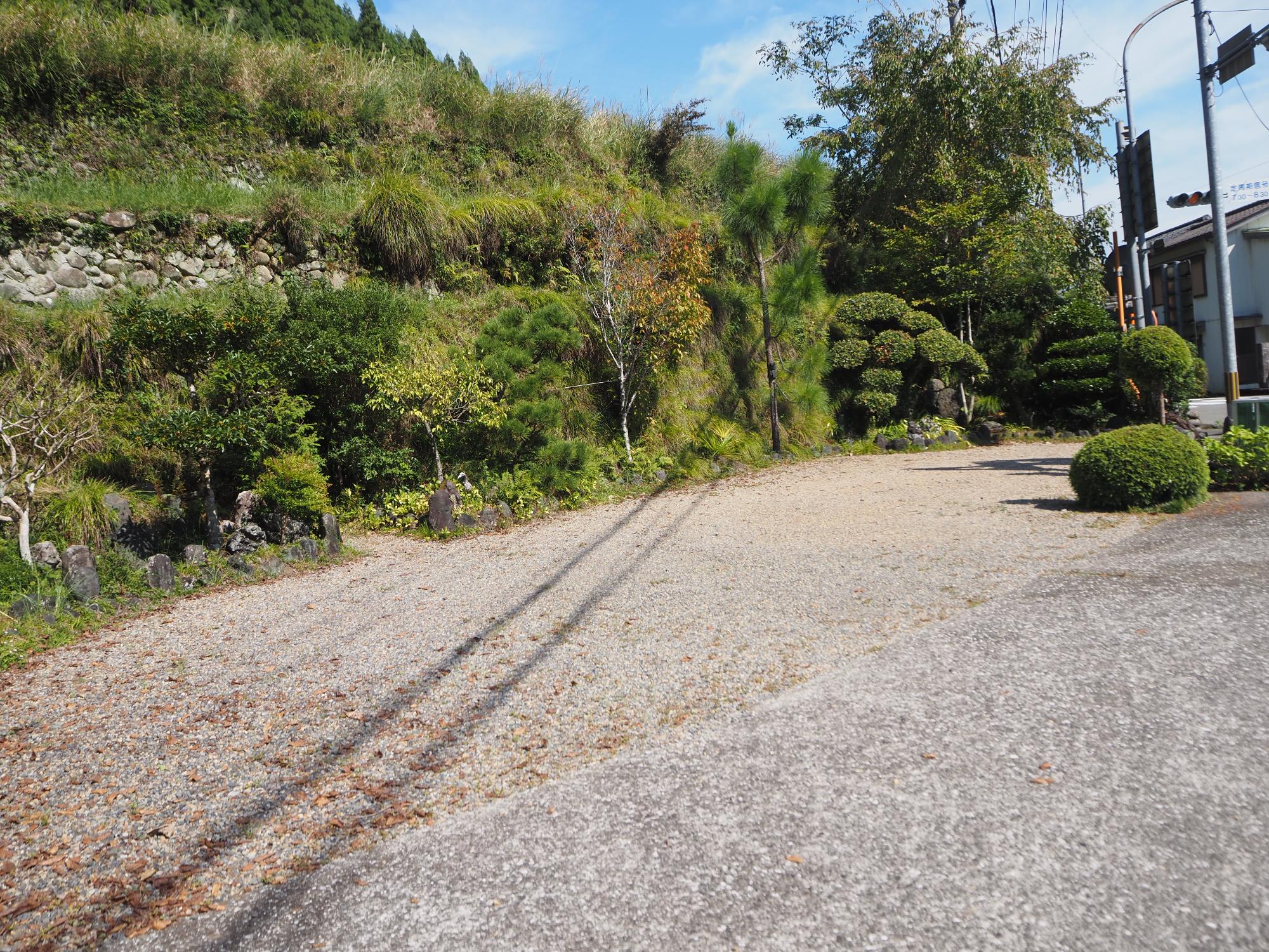 砂利の周囲に木が植わっている庭
