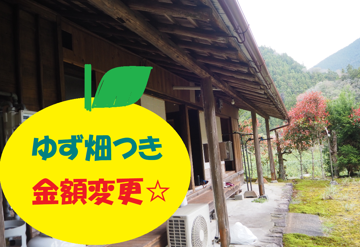周りを木々に囲まれ、建物全体が白を基調とした外観、1階部分と2階部分にベランダが設置されている2階建て住宅の外観写真