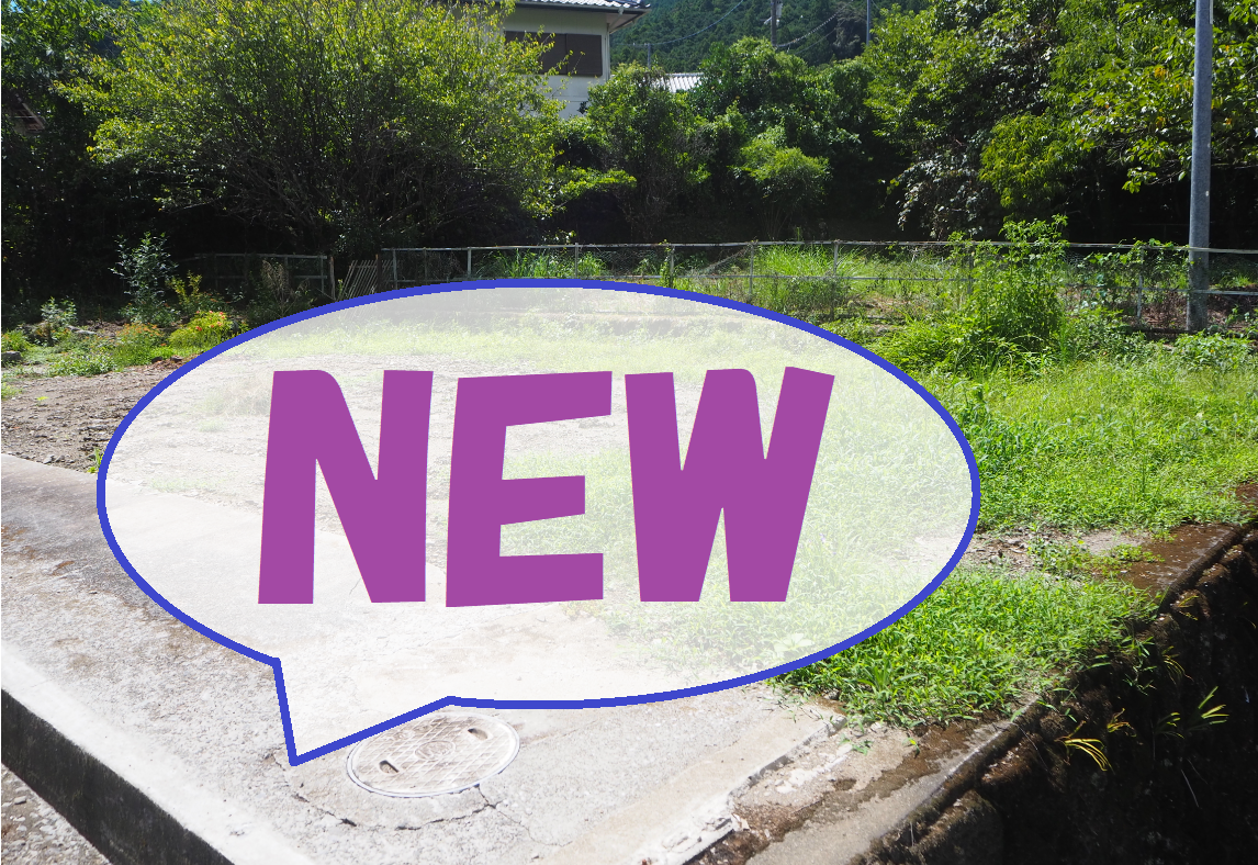NEW 後方に木々がありフェンスで囲まれた場所にある【売買】鷲敷 No.1-41の空き地の写真