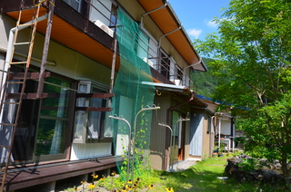 木々を背景に茶色の外壁で木造平屋の外観写真