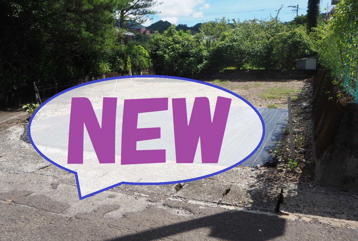 NEW 木々に囲まれた場所にある【売買】鷲敷 No.1-40の空き地の写真