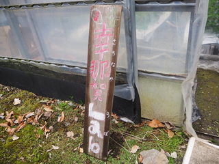 幸那賀らぼと書かれた看板の写真